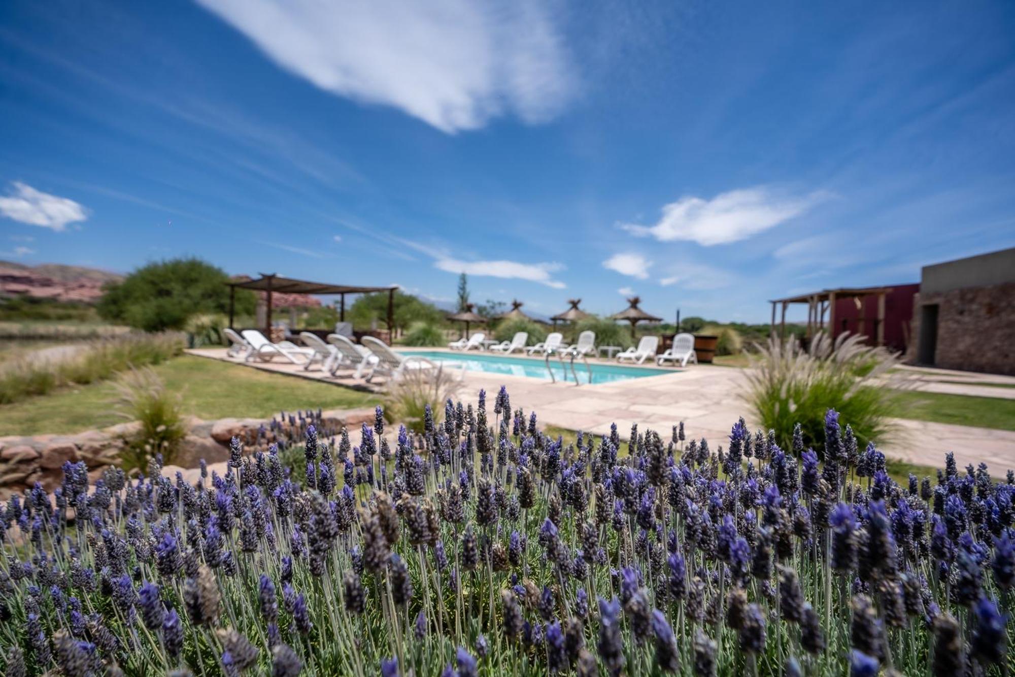 Hotel Castillos De Cafayate Eksteriør billede